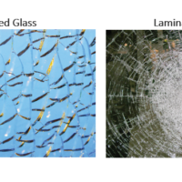 laminated glass and tempered glass